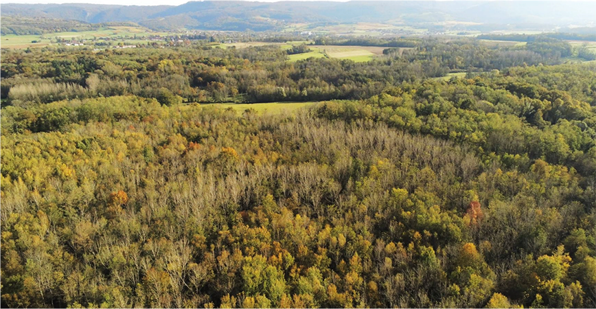 Projet Bois Magnin - Vue aérienne du site avant travaux (c) Camille Paillier copie Projet Bois Magnin - Vue aérienne du site avant travaux (c) Camille Paillier
