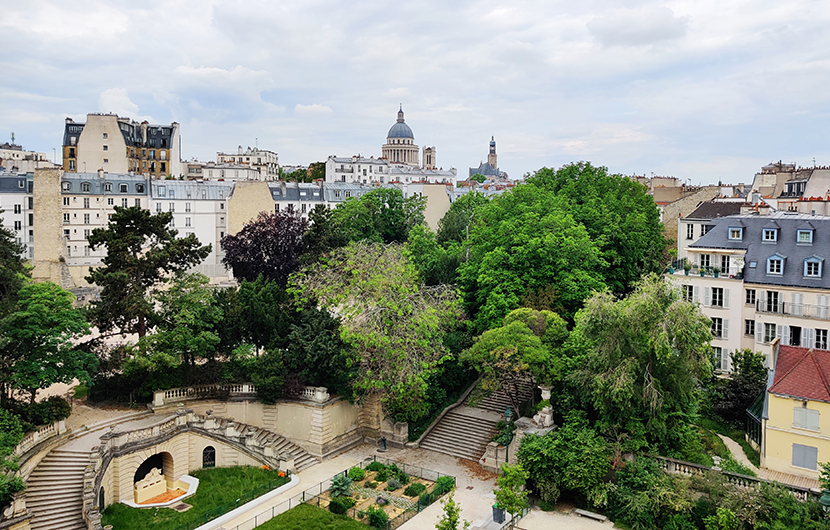 Végétation à Paris - Biodiversité en ville ©ISJU-CDC Biodiversité Végétation à Paris - Biodiversité en ville ©ISJU-CDC Biodiversité