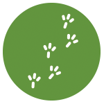 continuité-ecologique