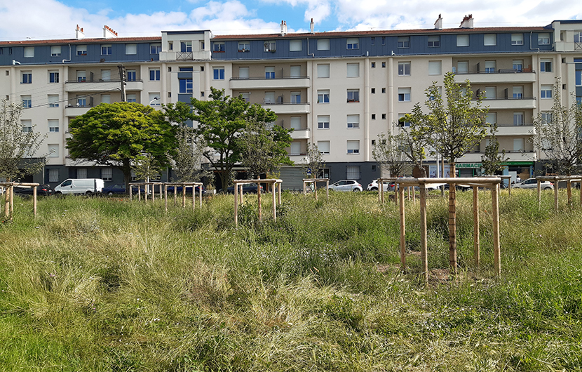 Parc Marcel Cachin © Plaine Commune Parc Marcel Cachin © Plaine Commune