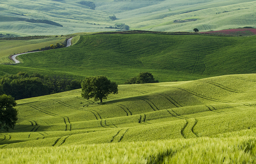 Beautiful shot of green fields with narrow roads in the middle Bocage du Pays de Pouzauges, Vue aérienne GAEC Les Rocs, 2021 © Antoine Biteau