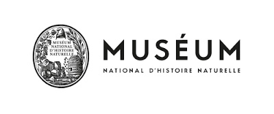 logo_museum