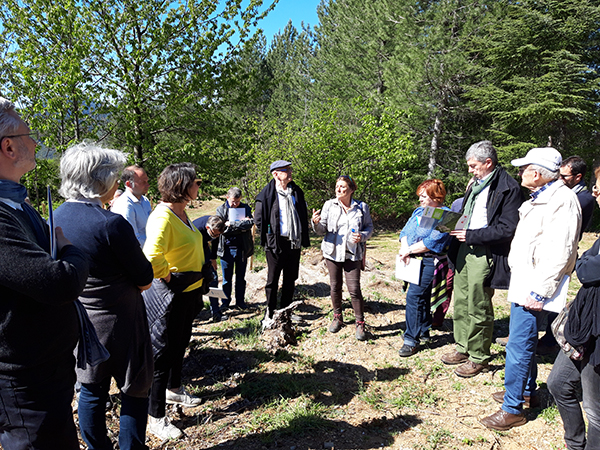 De gauche à droite : Agnès Langevine, 3e vice-présidente de la Région Occitanie en charge de la Transition écologique et énergétique, de la Biodiversité, de l’Économie circulaire et des Déchets ; Marc Abadie, Président de CDC Biodiversité ; Jeannine Bourrely, 1ère Vice-présidente du CRPF d’Occitanie ; Véronique Vinet, Présidente de l’ARB d’Occitanie ; Charles Dereix, Président de Forêt Méditerranéenne De gauche à droite : Agnès Langevine, 3e vice-présidente de la Région Occitanie en charge de la Transition écologique et énergétique, de la Biodiversité, de l’Économie circulaire et des Déchets ; Marc Abadie, Président de CDC Biodiversité ; Jeannine Bourrely, 1ère Vice-présidente du CRPF d’Occitanie ; Véronique Vinet, Présidente de l’ARB d’Occitanie ; Charles Dereix, Président de Forêt Méditerranéenne