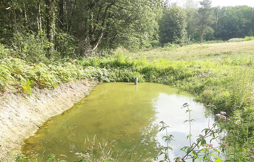 Etangs du Limousin, 2018 Etangs du Limousin, 2018