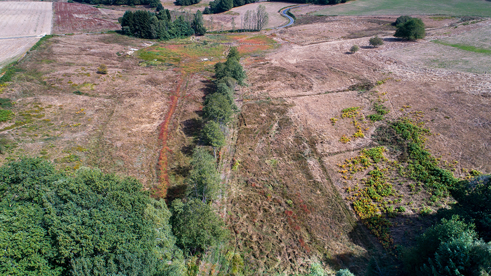 Etangs-du-Limousin3-©Jean-Christophe-DUPUY Projet Nature 2050 – Bussière Galant (87) – Restauration zone humide et remise du cours d’eau dans son lit naturel ©Jean-Christophe DUPUY