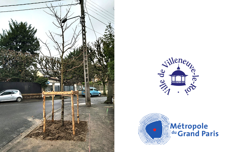 Nature 2050 : Village aux 4000 arbres – Rue Aristide Briand © DR