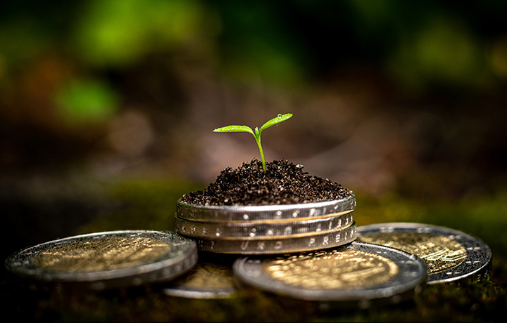 Green,Sprout,On,Top,Of,Stack,Of,Euro,Coins,On REVUE Biodiv'2050 n°13 Végétalisation du bâti et biodiversité