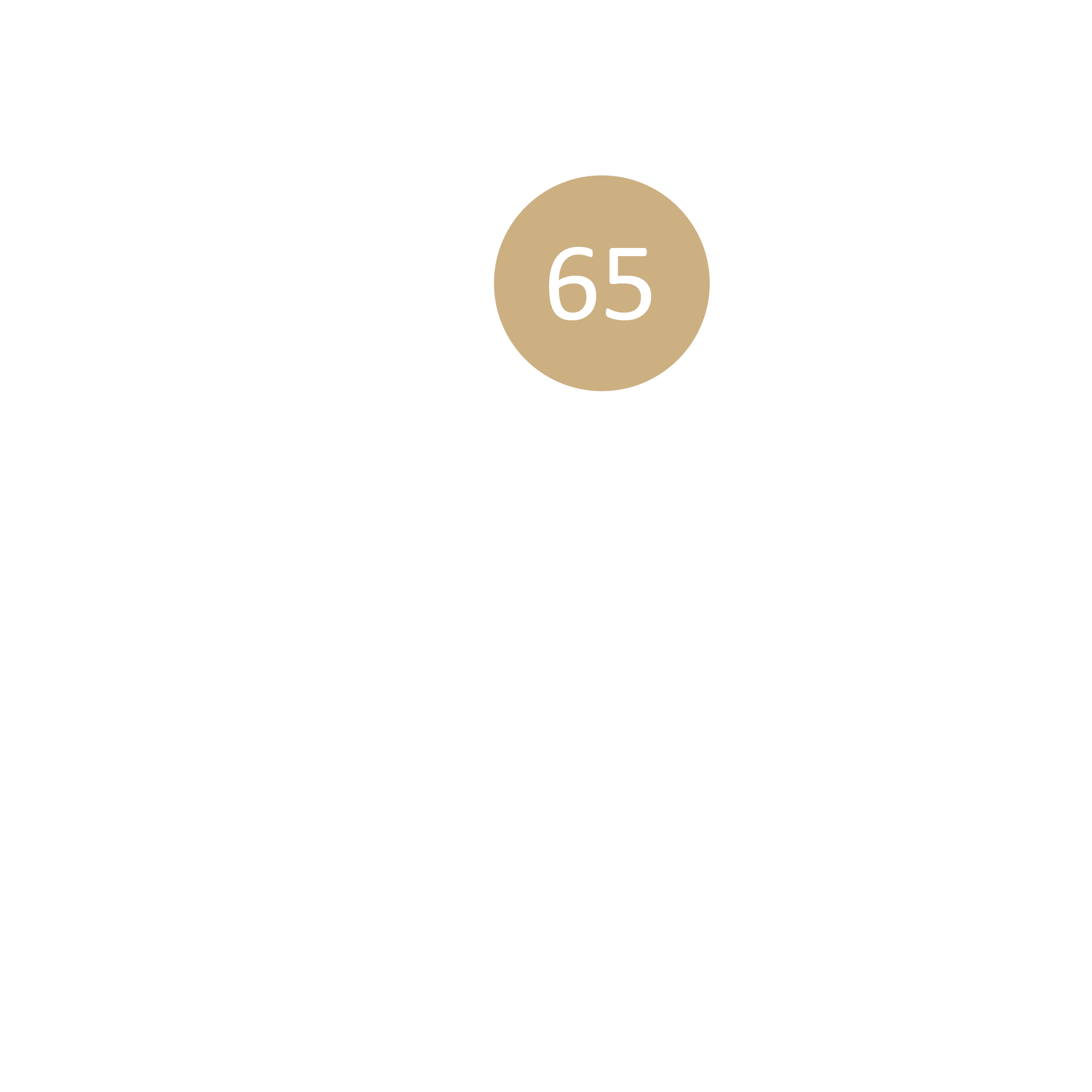 PICTO LOCALISATION300dpi65 PICTO-LOCALISATION