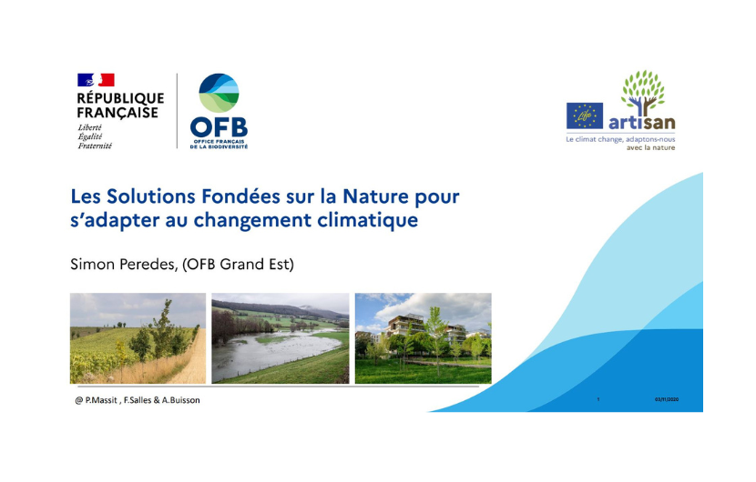Webinaire de l’OFB Grand Est sur les SFN le 28 juin 2023 Webinaire de l’OFB Grand Est sur les SFN le 28 juin 2023