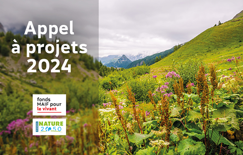 appel à projet 2024 ©Angelina Cecchetto Gettyimages appel à projet 2024 ©Angelina Cecchetto Gettyimages