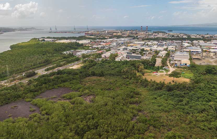 1. Mangroves de Jarry (c) Conservatoire du littoral Mangroves de Jarry (c) Conservatoire du littoral