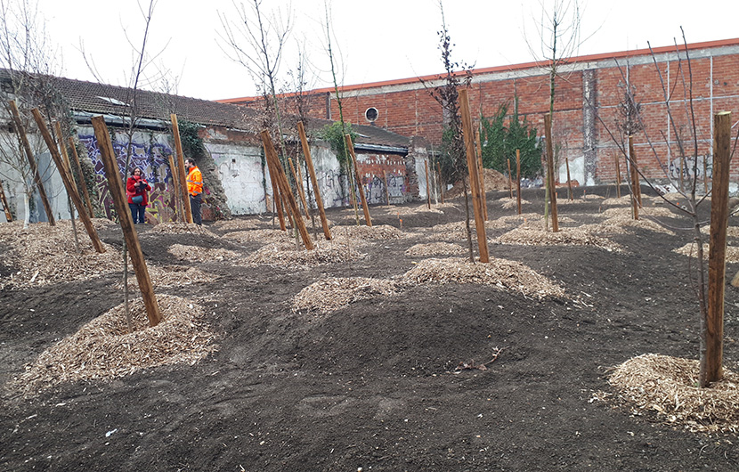 Friche Louis Dain pendant travaux, mars 2023 ©Mairie de Saint-Ouen
