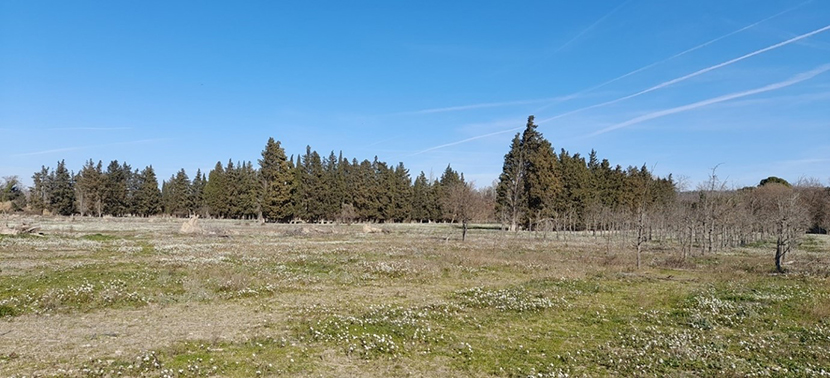 Photo_1_St_Pierre_Avant_CDCB