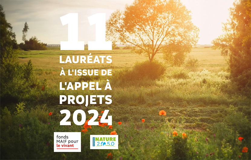 Visuel_Réseaux sociaux_Lauréats AAP 2024 recadrée Visuel_Réseaux sociaux_Lauréats AAP 2024 recadrée