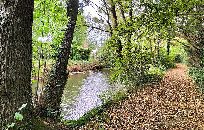 rivière de Reyssouze avant restauration rivière de Reyssouze avant restauration