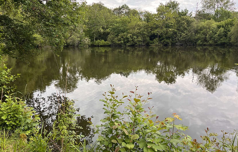 Etang arboretum ©Fonds Nature 2050 Etang arboretum ©Fonds Nature 2050