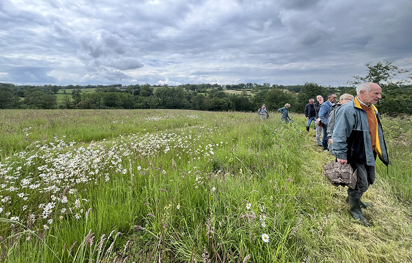Visite du site avec les partenaires du projet et les riverains ©Fonds Nature 2050 Visite du site avec les partenaires du projet et les riverains ©Fonds Nature 2050