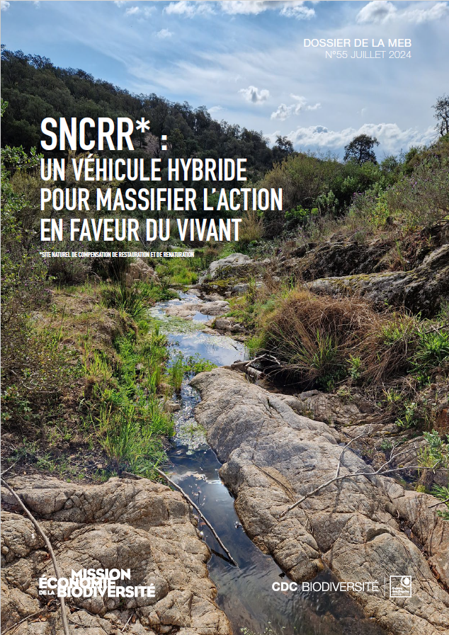 Nature et richesses des nations