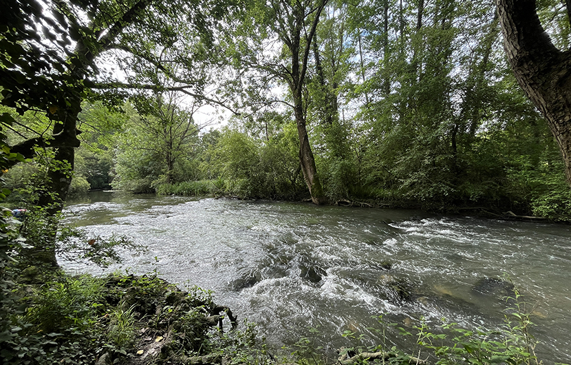 Au fil de l'Auxance © Fonds Nature 2050 (1)