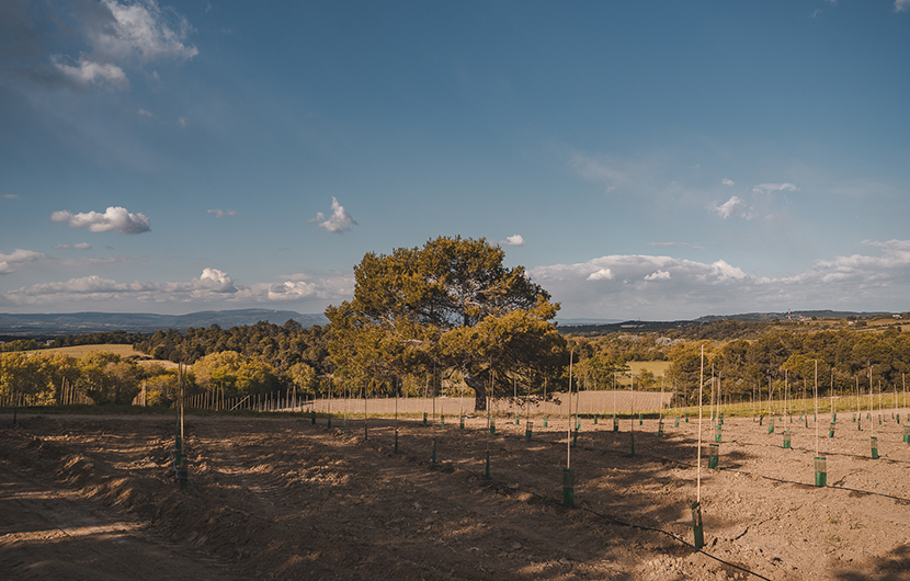 Ferme de Baudrigue © Nectar