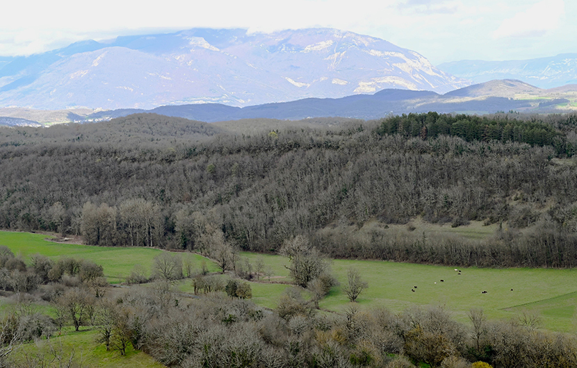 Plaine de Bondar © Commune de Colomieu