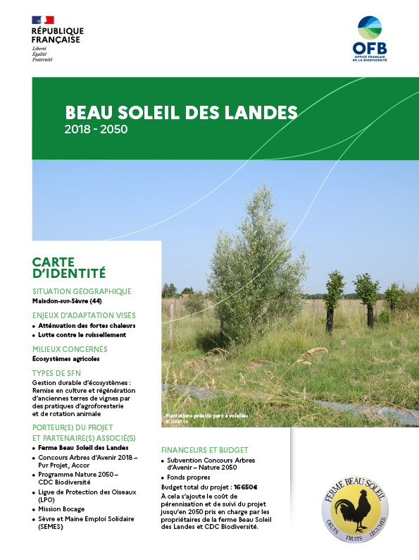 1_Fiche REX_Village aux 4000 arbres