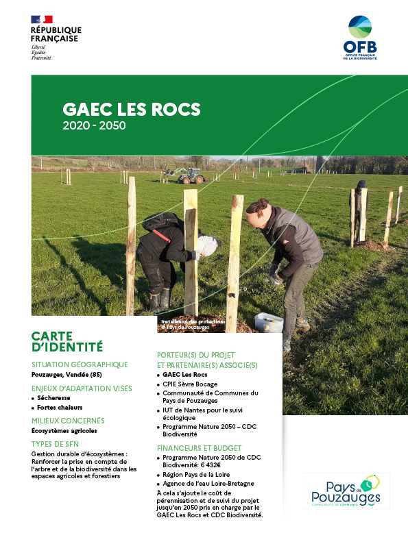 2_Fiche REX_Forêt Cévenole-1