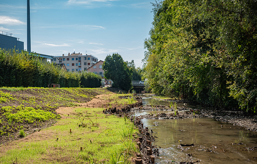 Débétonisation et reméandrage du canal de Loëze-©-Reyssouze-et-Affluents