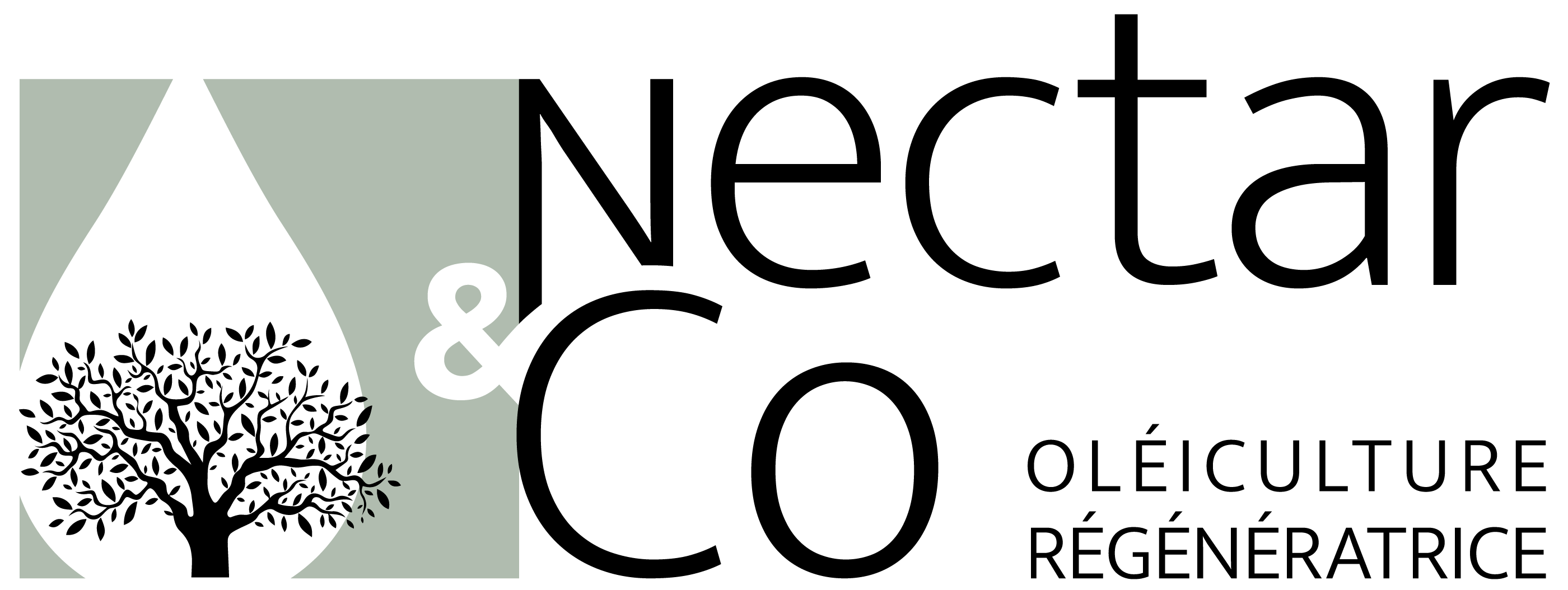 Nectar_logo_2023_HD