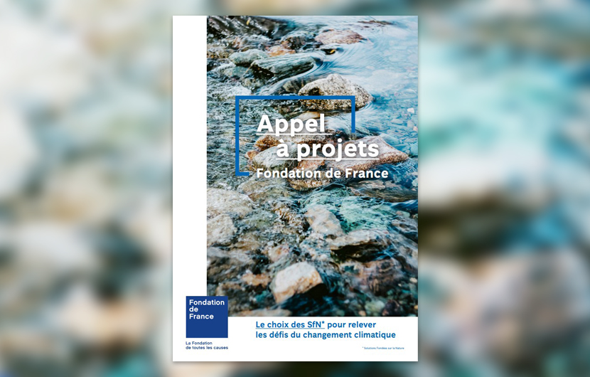 Appel a projet copie Muret de pierres sèches_avril 2025 ©Fonds Nature 2050