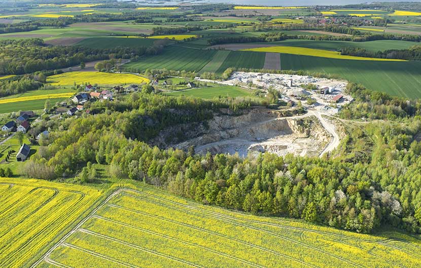 Sand and rock mine Tortue Hermann_male_adulte © R_Garbe_CDCB